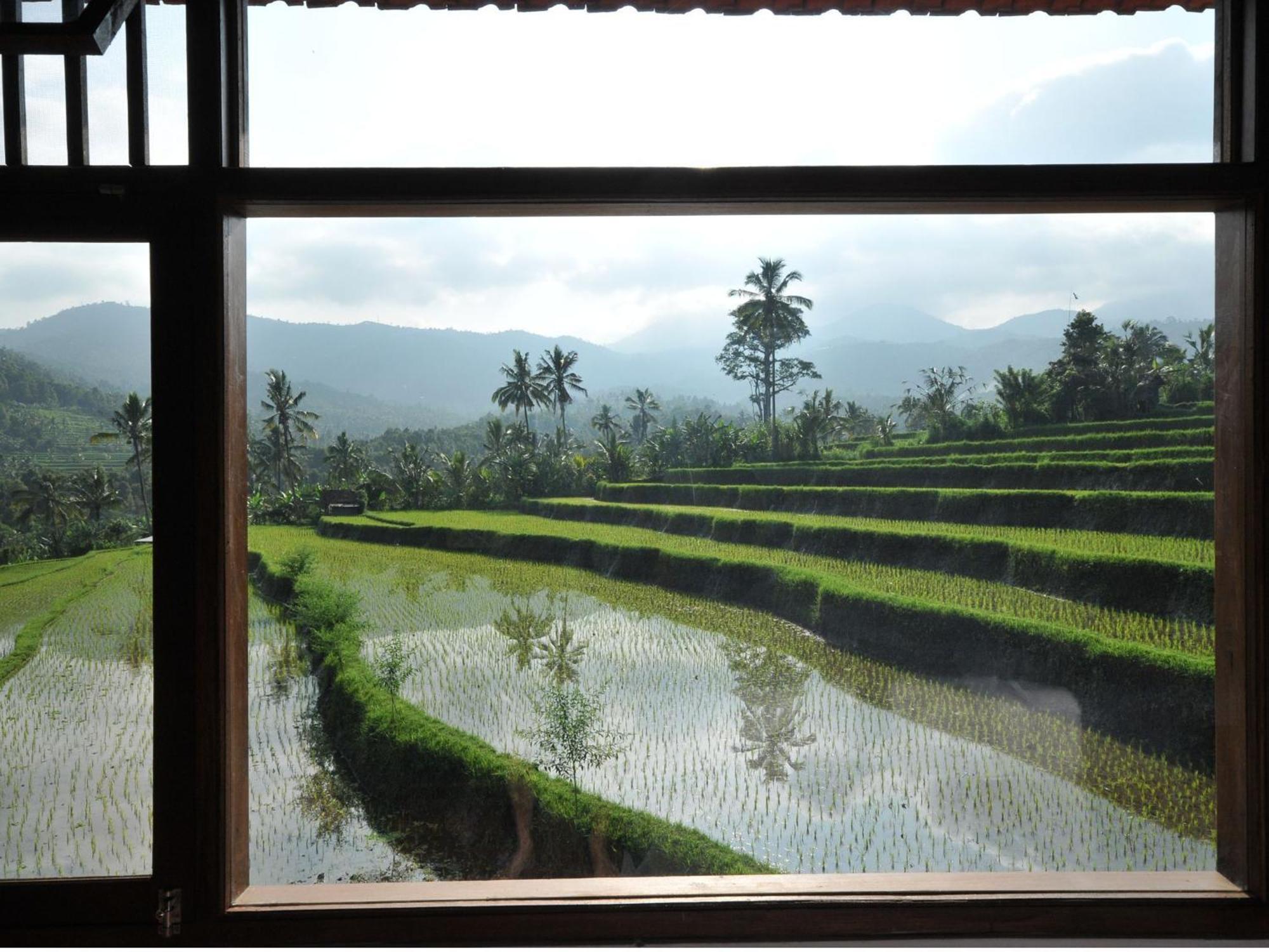 Lesong Hotel And Restaurant Munduk Oda fotoğraf